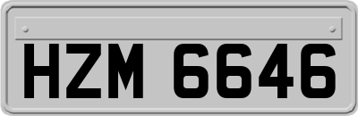 HZM6646