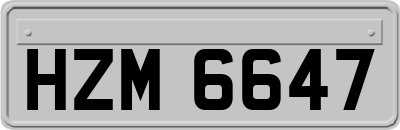 HZM6647