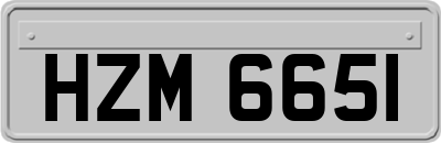 HZM6651