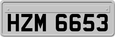 HZM6653