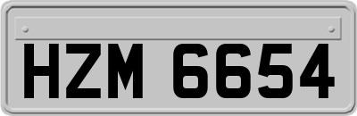 HZM6654