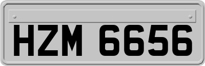 HZM6656