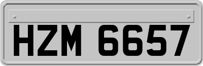 HZM6657