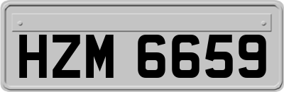 HZM6659