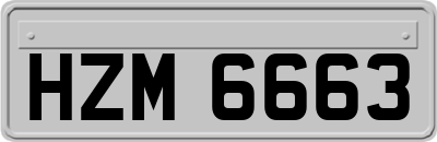 HZM6663