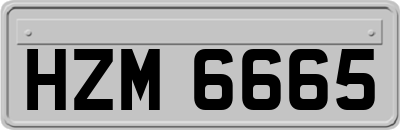 HZM6665