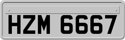 HZM6667