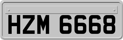 HZM6668