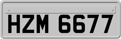 HZM6677