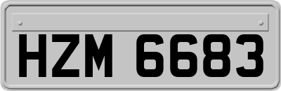 HZM6683