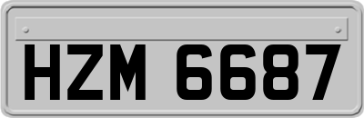 HZM6687