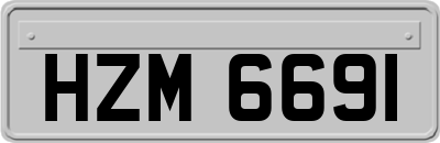HZM6691