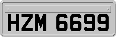 HZM6699