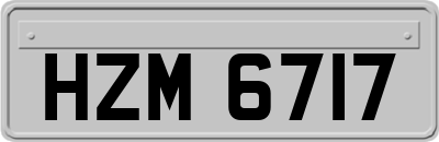 HZM6717