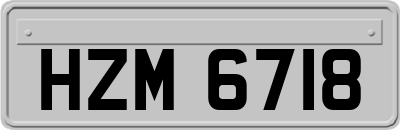 HZM6718