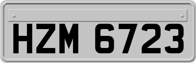 HZM6723