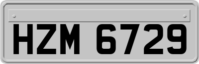 HZM6729