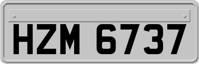 HZM6737