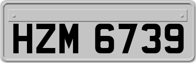HZM6739