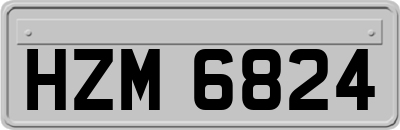 HZM6824