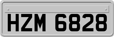 HZM6828