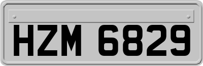 HZM6829