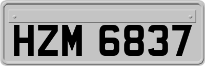 HZM6837