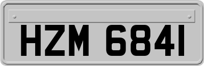 HZM6841