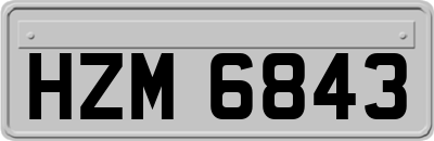 HZM6843