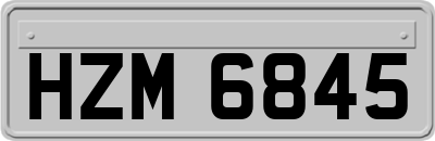 HZM6845
