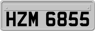 HZM6855