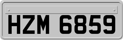 HZM6859