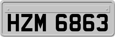 HZM6863