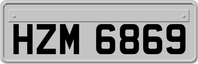 HZM6869