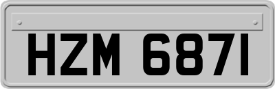 HZM6871
