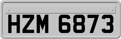HZM6873