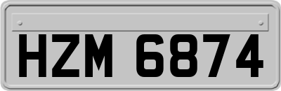 HZM6874