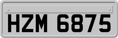 HZM6875