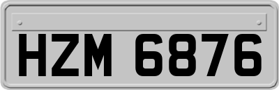 HZM6876
