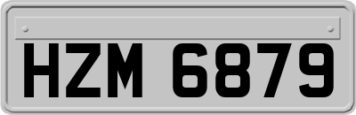 HZM6879