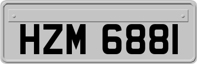 HZM6881