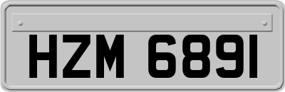 HZM6891