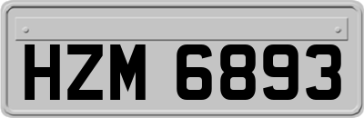 HZM6893