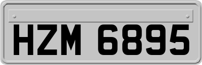 HZM6895