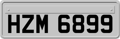 HZM6899