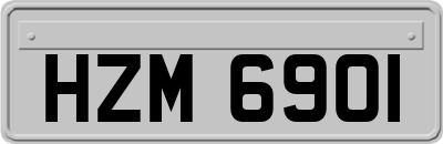 HZM6901
