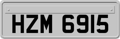 HZM6915