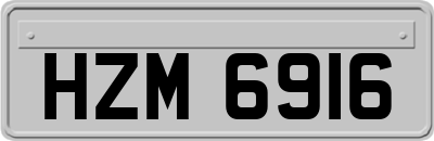 HZM6916