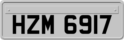HZM6917