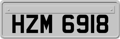 HZM6918